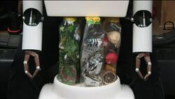 Rapping robot teaches youngsters to recycle News Clip