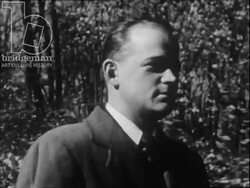 Man at work, and walking through forest. USA, 1953 Stock Footage