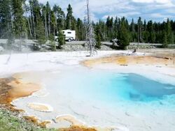 Silex Springs, Upper Geyser Basin, Yellowstone NP, United States Stock Footage
