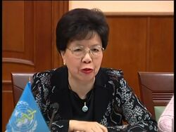 WHO Director comment on fight to stop swine flu News Clip