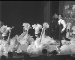 NIGHT-LIFE UNDERWATER News Clip