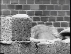 B/W 1961 close up construction worker's hands laying concrete blocks for Berlin Wall / Cold War / Germany Stock Footage