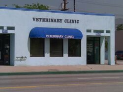 MS CU View of small modern Veterinary Clinic animal hospital with blue roof and blue doors / Portland, Oregon, USA Stock Footage