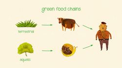 TED-Ed: Dead stuff: The secret ingredient in our food chain - John C. Moore Instructional Video