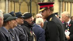Prince Harry At Wreath Laying Ceremony News Clip