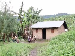 MS Shot of family sit on log in front of small hut in forest / kigez, kabale, uganda Stock Footage