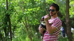 Cute pup of a Jack Russell Terrier playing around with a young gourgeous man Stock Footage