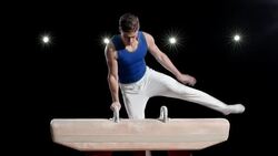 LD Male gymnast performing a routine on pommel horse Stock Footage