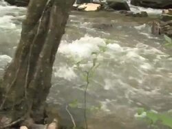 Rushing Creek Stock Footage