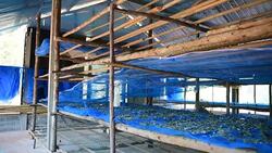 Workhouses Silk Stock Footage