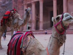 Scenes of Petra Stock Footage