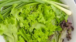 washed vegetables for salad Stock Footage