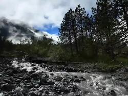 Alps forest and mountain Stock Footage