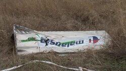 CLEAN : Human remains found at Ukraines MH17 crash site News Clip