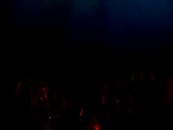 Applauding Crowd Stock Footage