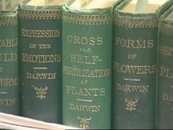 Auction of scientific books News Clip