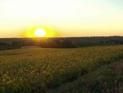 Sunset over Nebraska farm fields News Clip