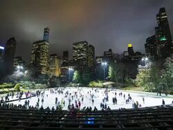 NYC skating Stock Footage