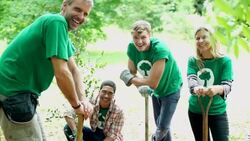 Portrait of smiling environmentalist volunteers planting tree Stock Footage