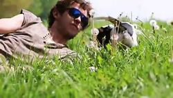 Guy plays with a puppy in a blowballs' field Stock Footage