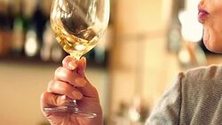 Winetasting. Stock Footage