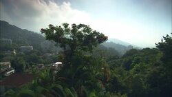 Tropical plants sway below a hotel balcony at La Maison Hotel in Rio de Janeiro. Stock Footage