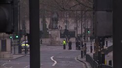 Police activity on Whitehall following Wednesday's terror attack in Westminster News Clip