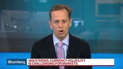 BOE's van Steenis: Deep Pain in 'Perniciously Low-Rate Environment' News Clip
