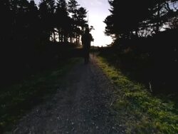 MS POV Shot of Woman hiking down trail in forest / Port Orford, Oregon, United States Stock Footage