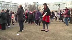 CLEAN : Protesters gather as Icelands new PM sworn in News Clip