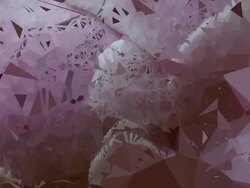 series transcendental fields : from peony (LOOP) Stock Footage