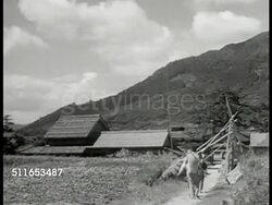 Japanese farm life Instructional Video