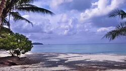 Untouched beach Stock Footage