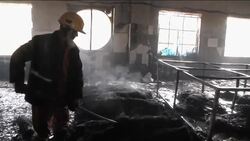 Bangladesh - Factory fire kills 115 News Clip