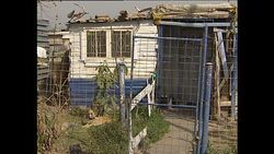 Township Street Scenes in Johannesburg News Clip