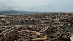 Popular eco destination blighted by badly polluted river News Clip