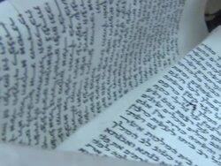 Book of Esther Close Up Stock Footage