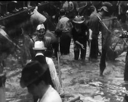 FISHY STORY News Clip