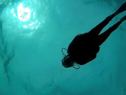 Lonely Diver Stock Footage