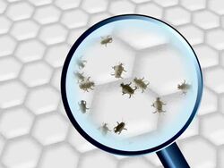 Dust Mites Stock Footage