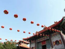 Beautiful chinese lantern Stock Footage