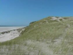 Dune on the island Amrum Stock Footage