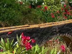 MS PAN ZO Shot of Roman aqueduct / Estepona,Espana, Malaga, Spain   Stock Footage