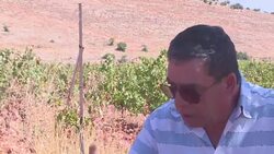 VOICED : Turning weed into wine in Lebanon News Clip