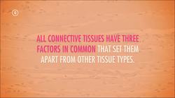 Tissues, Part 3 - Connective Tissues: Crash Course A&P Instructional Video
