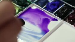 Color Palette Stock Footage