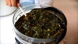 VOICED : Colombia busca liderar mercado emergente de cannabis medicinal News Clip