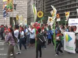 People's Climate March - NYC Stock Footage