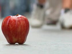 T/L The Big Apple Stock Footage