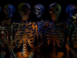 (Loop) Halloween Skeleton Stock Footage